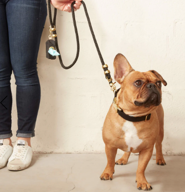 Pets product example 4